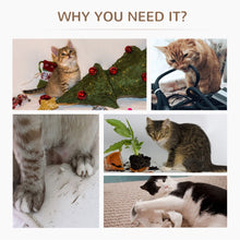 Load image into Gallery viewer, Ultimate Cat Scratcher &amp; Play Mat with Roller Feather Teaser for Happy Kittens!
