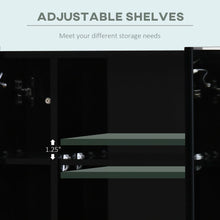 Load image into Gallery viewer, LED Illuminated High Gloss Black Bathroom Mirror Cabinet with Adjustable Shelves

